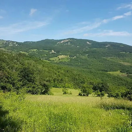 La Genesa *